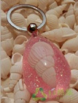 seabed sea snail key chains